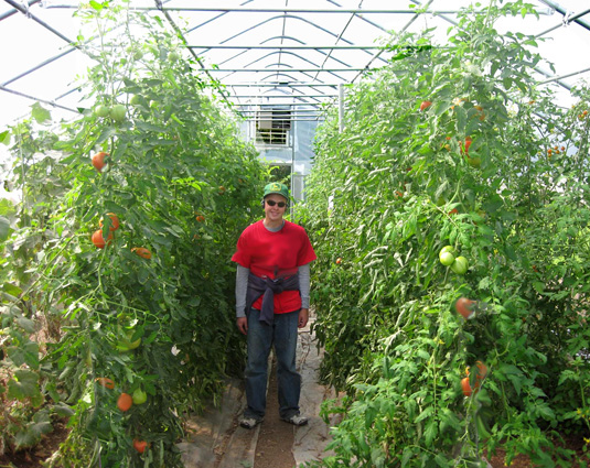 30 ft greenhouse